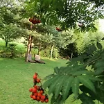 Dağ evi Dom Pod Jesionami