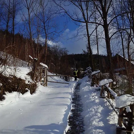 Dom Pod Jesionami Chalet *