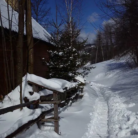 Dom Pod Jesionami Chalet