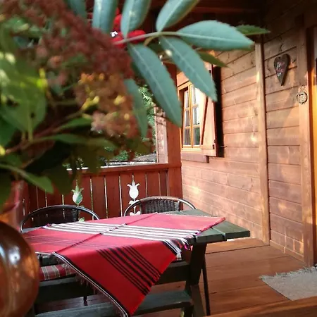 Dom Pod Jesionami Chalet