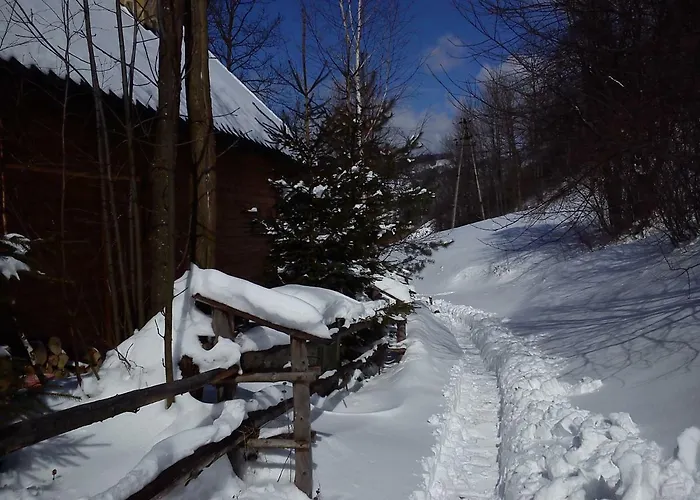 Dom Pod Jesionami Chalet